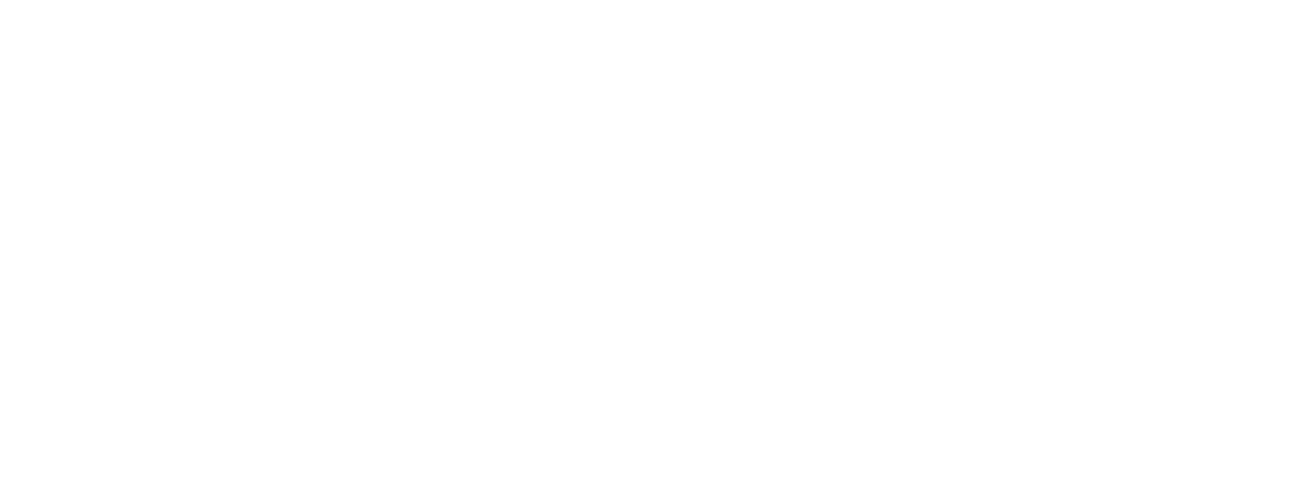 Vincent Professional Logo White